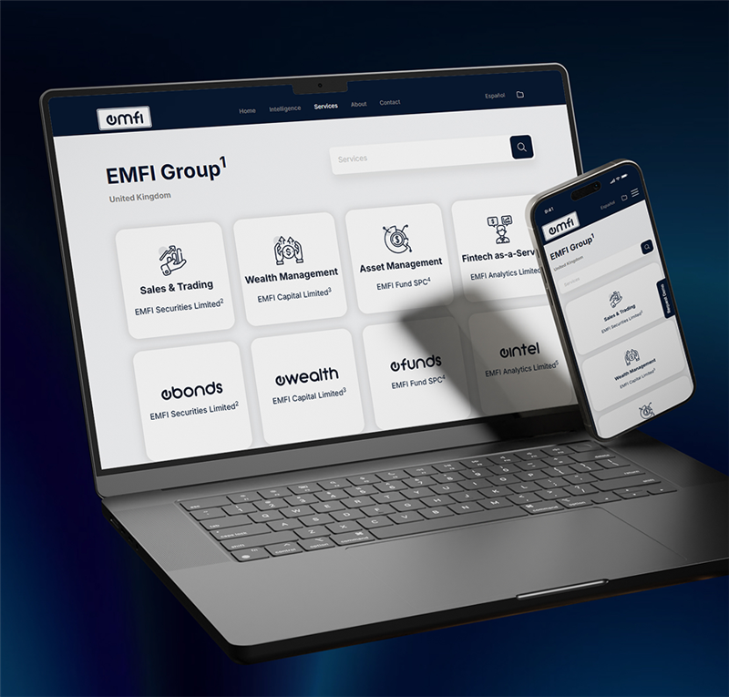 EMFI Group is a leading financial services provider case study by tuvoc