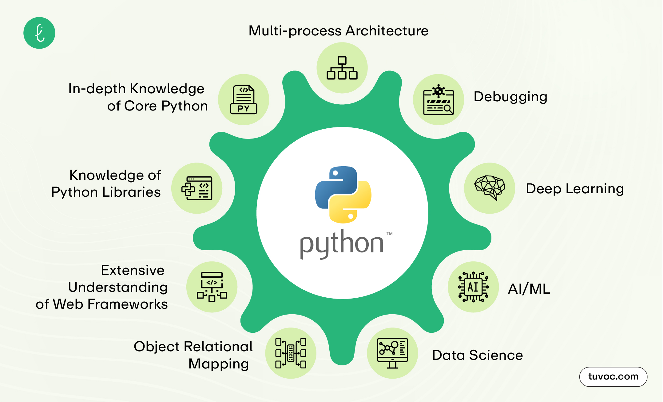 key skills to look for in Python developers