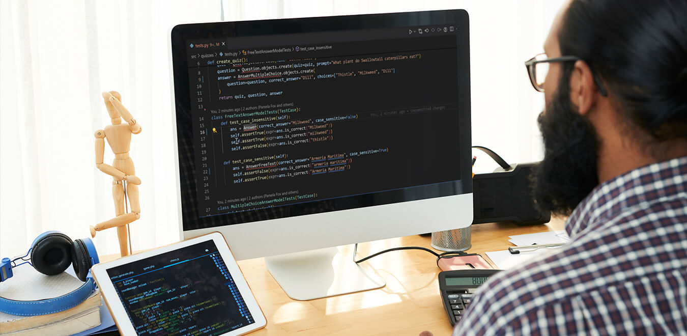 Custom Python Web Development Company