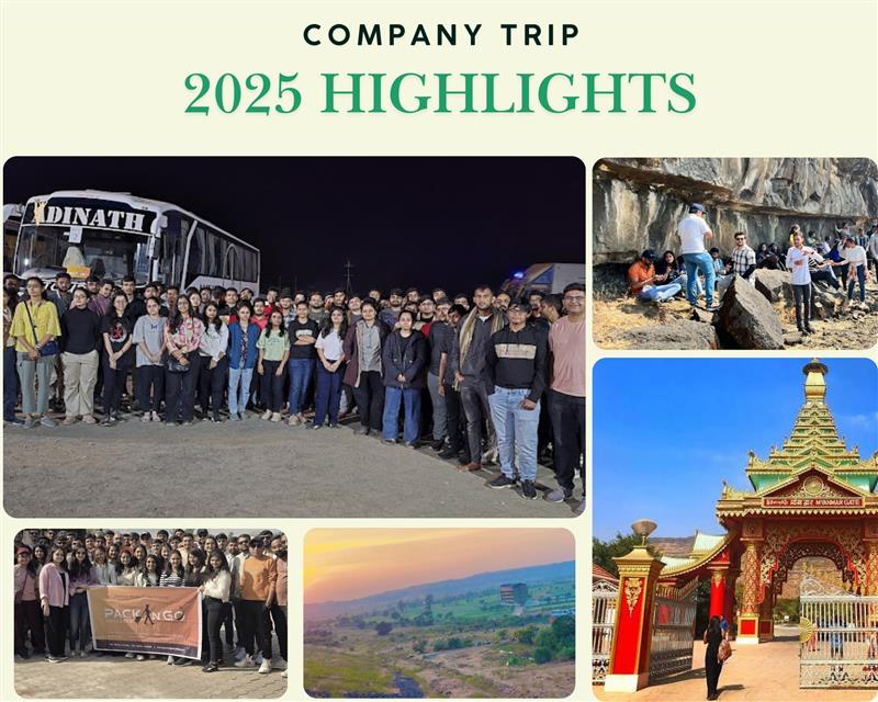 Company Trip 2025 Highlights